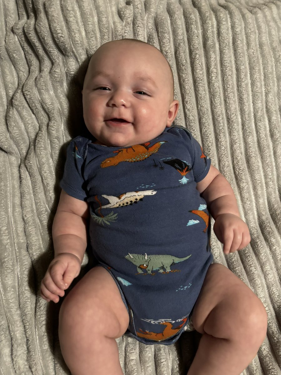 LexiHarris1234's tweet image. These babies are getting so big😭🩷🩷🩵