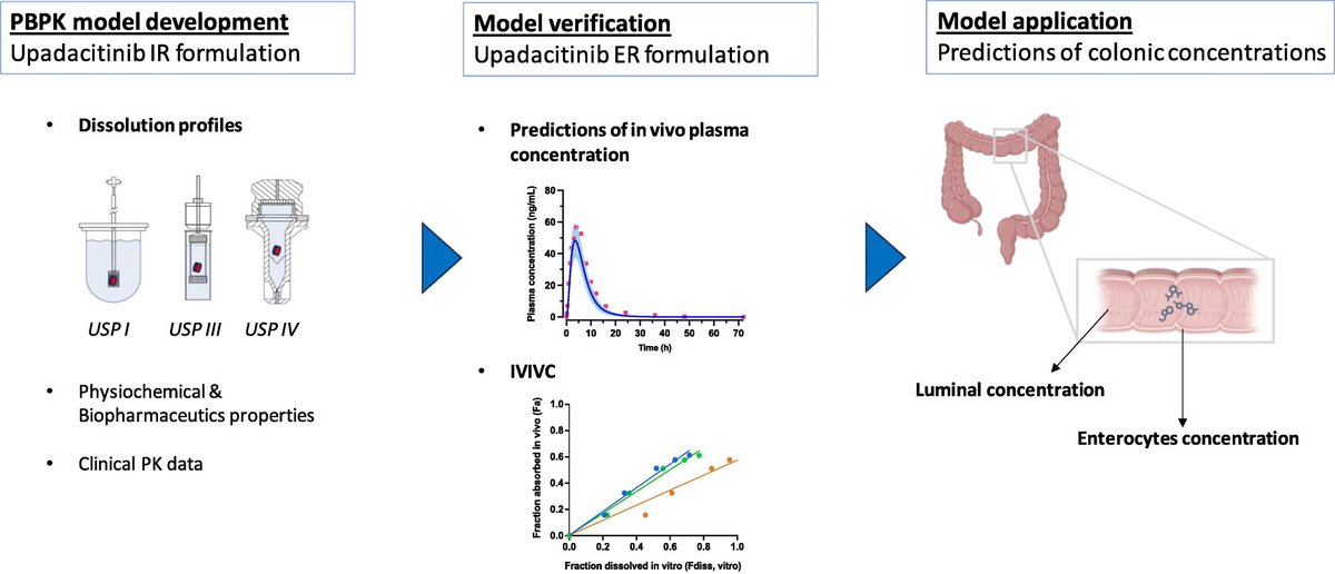 Can in vitro/in silico tools improve colonic concentration estimations for oral extended-release formulations? A case study with upadacitinib. | Abdul W. Basit @School_Pharmacy | @UKICRS @ProfAWBasit [50 days' free access] #OralDelivery #ExtendedRelease authors.elsevier.com/sd/article/S01…