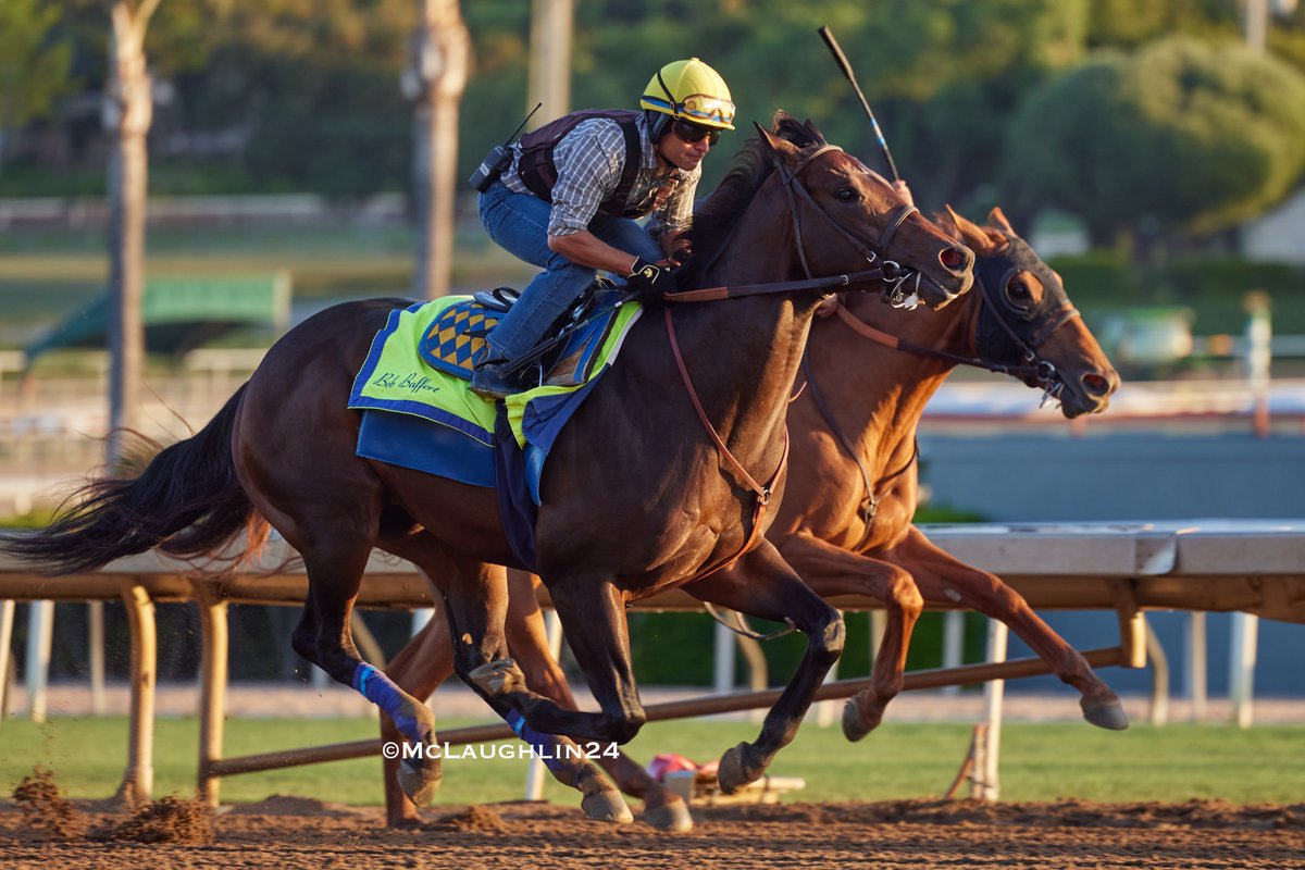 Prince of Monaco worked a half in 47.20 this morning under Juan Ochoa outside of Wynstock 4 in 47.60 with Erick Garcia in the irons for HoF trainer Bob Baffert @santaanitapark @StarlightRacing @MadaketStables @StonestreetFarm @BobBaffert