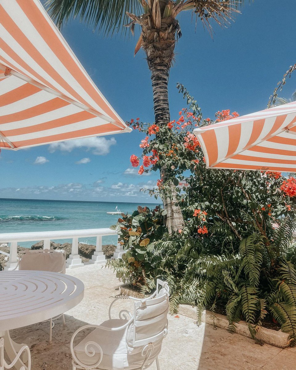 Lost in paradise at Cobblers Cove. 🌴 Ignoring reality and soaking in the picture perfect views of Barbados. 📍: Cobblers Cove, West Coast 📸: @exploresomemore__, thanks for sharing! #VisitBarbados #MyBarbados #LoveBarbados