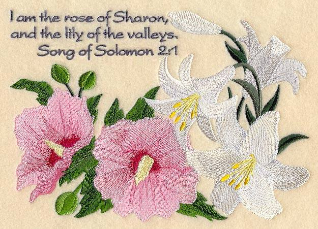 Jesus Says: I am the 🌹 rose of Sharon, And the 🌼 lily of the valleys. @chef_charmaine @Remo98402109 @joshuapichard15 @winstoncooper16 @nameinbook @beth7_b @dianne__ladyd @ltd_to_two @beautee12 @bijomjohn7 @dansc1952 @ekmathai @paula_white