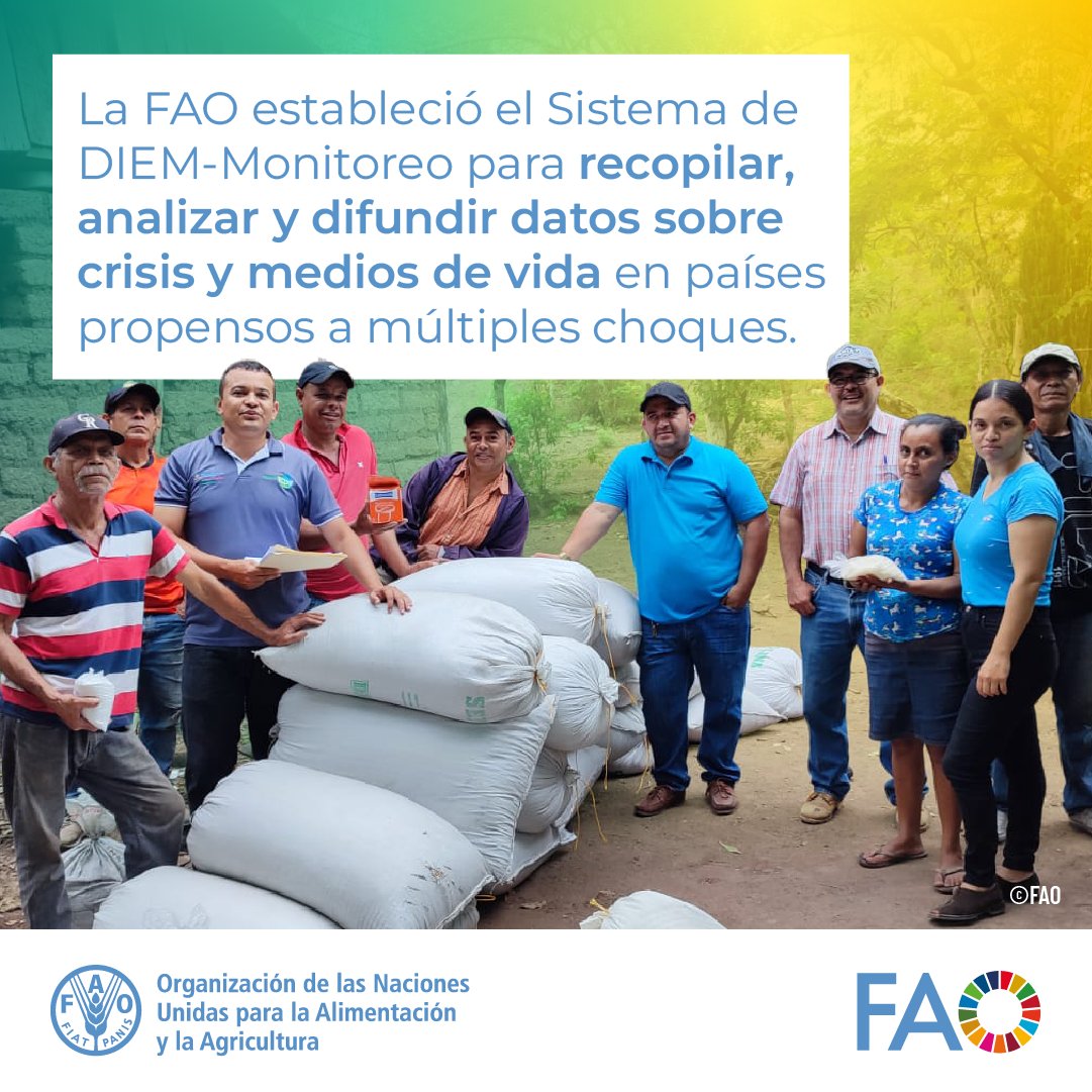 Frente a las crisis, cada dato cuenta📊
👉El Sistema DIEM de la @FAO convierte datos en soluciones para sostener la agricultura, la alimentación y fortalecer la resiliencia en tiempos de emergencia.

#DataInEmergencies
🔗Accede aquí data-in-emergencies.fao.org