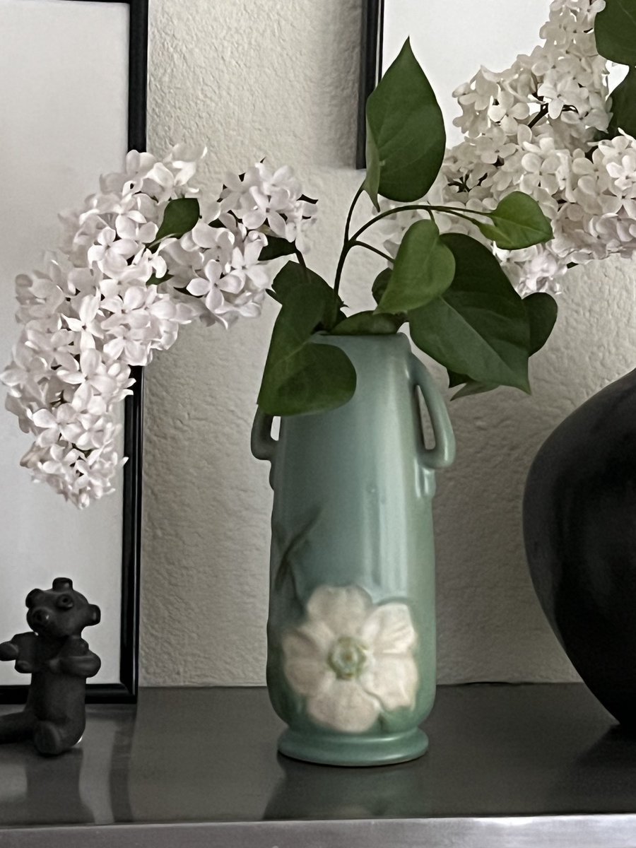 Inspired by ⁦@HeatherThomasAF⁩ absolutely gorgeous vases and flowers I’m actually going to use my arts and crafts pottery …here’s some white lilac from the garden in a magnolia vase.