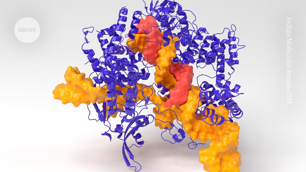 ‘ChatGPT for CRISPR’ creates new gene-editing tools dlvr.it/T6BbzJ #MachineLearning #NatureJournal #AI