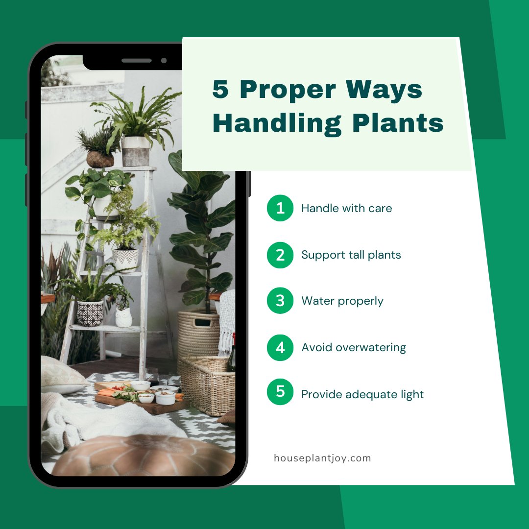 🏡 Treat your plants with care to nurture their growth and vitality. Visit our website: tinyurl.com/2xqugtv4 #houseplants #houseplantjoy #properways