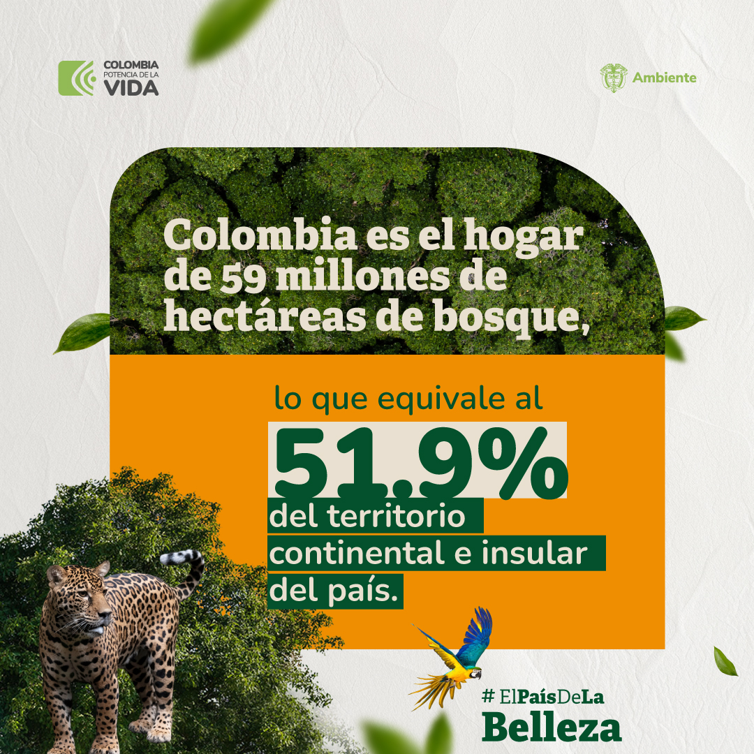 ¿Sabías que somos el país de los bosques? Más de 59 millones de hectáreas de bosque natural están en #ElPaísDeLaBelleza.