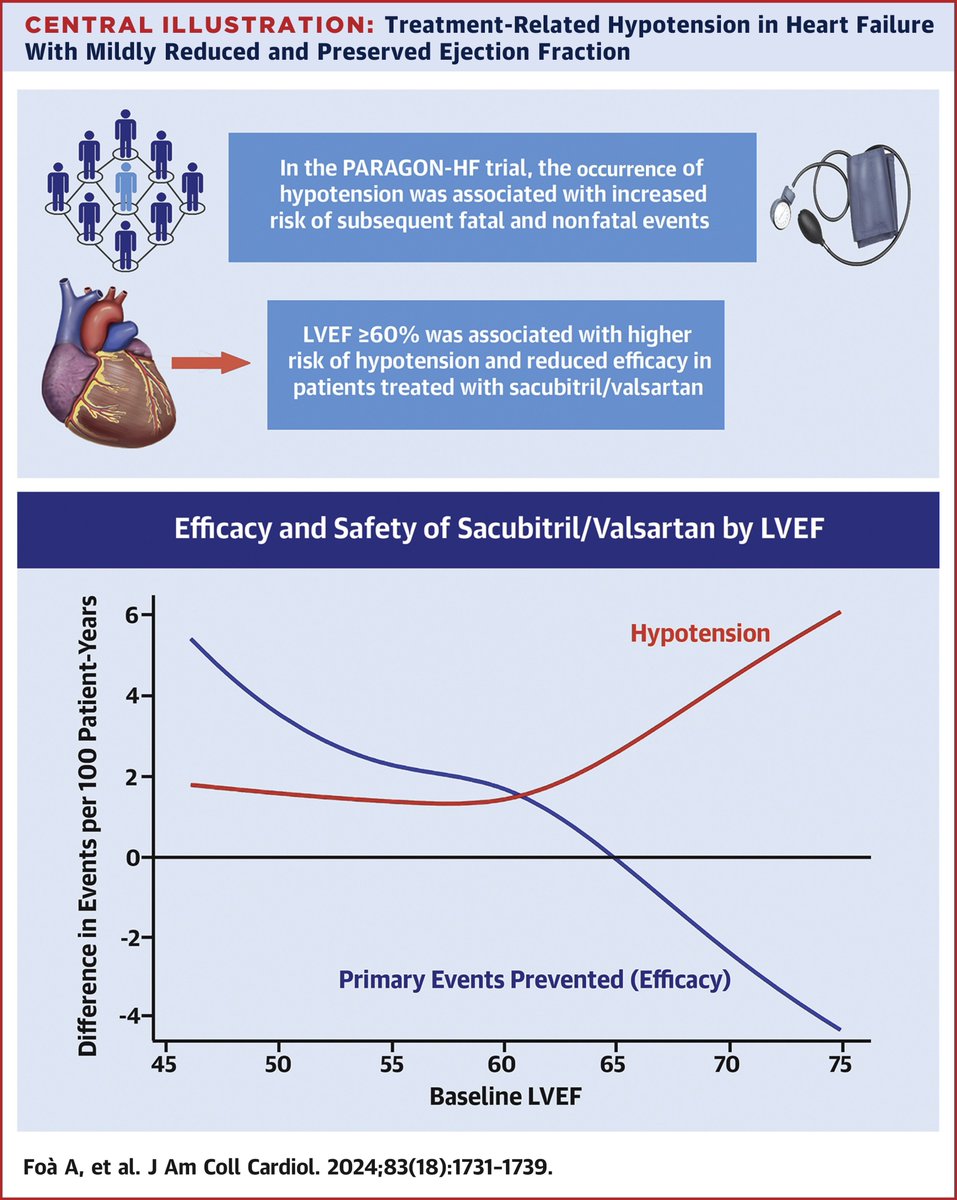 Interesting analysis from PARAGON: As ejection fraction moves away from lower levels towards a higher range, patients with HFPEF tend to experience hypotension more frequently, leading to a higher risk of fatal and nonfatal events. #cardiotwitter #Cardiology #CardioEd