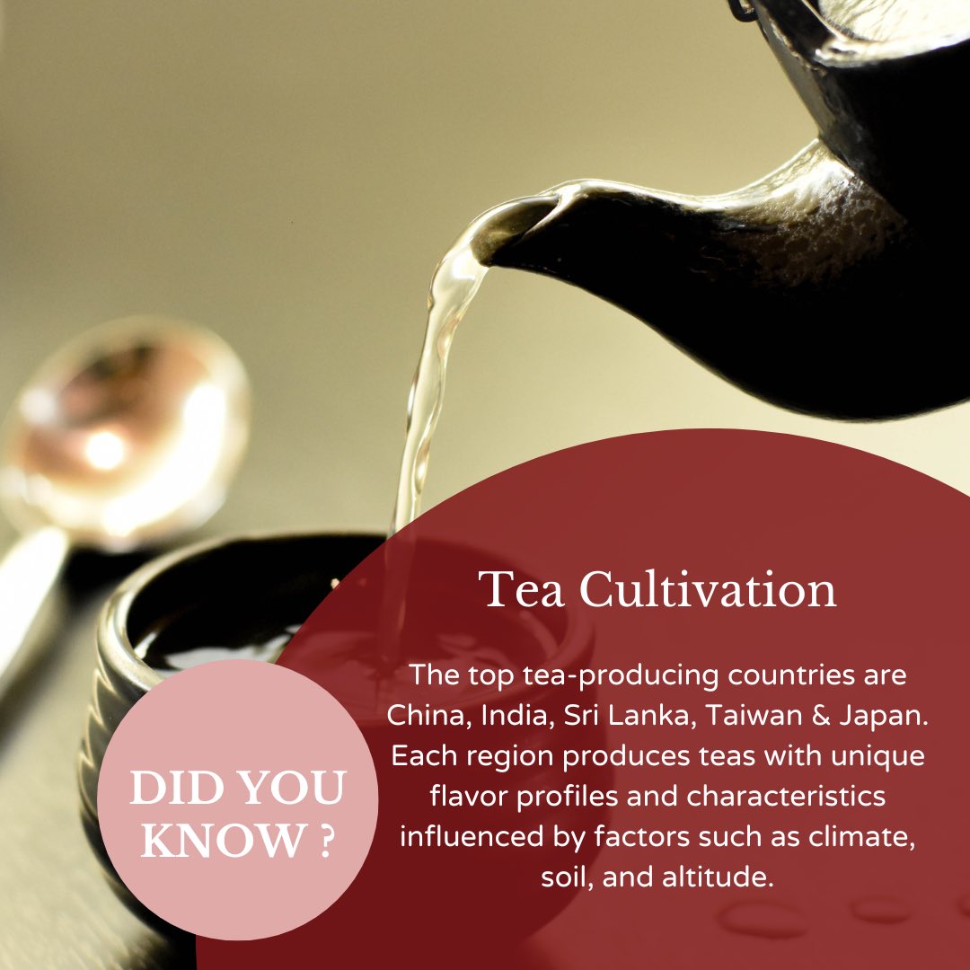 Did you know?🍵🍃

#TeaHistory #teaorigins #TeaCulture #AncientDiscovery #TeaLovers #DidYouKnow #FunFact #EmbraceTheTea #sipbackandrelax #teaproudly