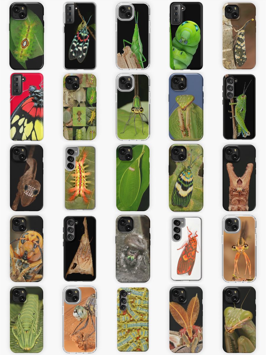 20% off SINOBUG entomological-themed phone cases now on REDBUBBLE - for iPhone or Samsung with slim, tough, and soft case options. Full store (includes wall art and accessories, up to 40% off storewide): itchydogimages.redbubble.com