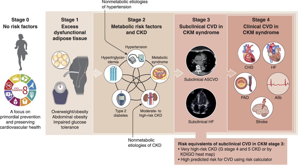 .@American_Heart proposed an integrated health disorder, the cardiovascular-kidney-metabolic (CKM) syndrome, attributable to connections among obesity, diabetes, CKD, & CVD. What does this mean for nephrology & kidney disease patients? bit.ly/JASN0323 @DanTheKidneyMan