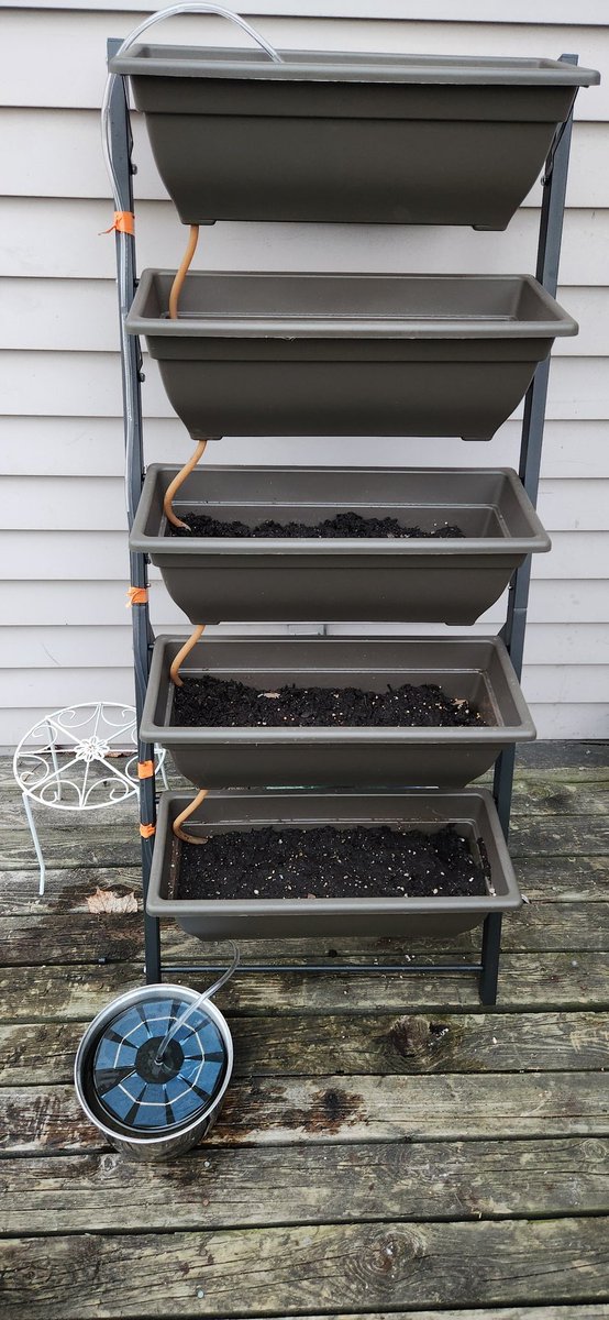 Vertical Garden Experiment 2024 The top tray acts as a small reservoir, the trays drain diagonally into each other through the latex tubing. The pot at the bottom collects the overflow and pumps it back to the top with a modified bird bath solar fountain and more tubing. 🤞