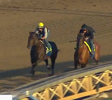 @TomRyanKY Prince Of Monaco looking absolutely sensational today, putting down a 47.20 and making short work of his G2 winning work mate.

Fun Fact:  Prince Of Monaco is the only Speightstown to have won a G1 at 2 years of age 

Makes one wonder what the future may hold...