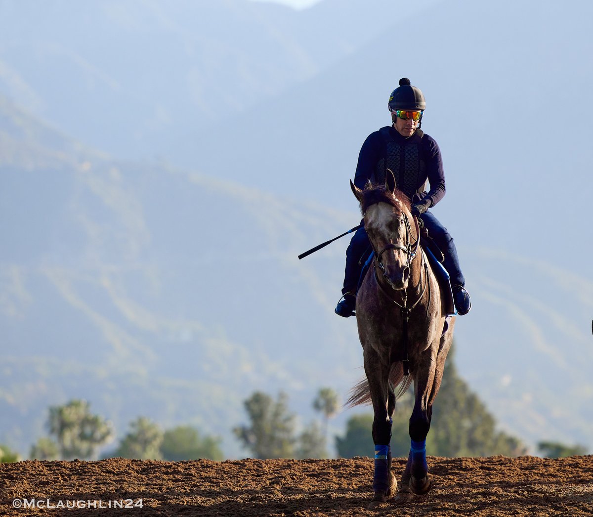 Winterfell returning to the Bob Baffert stable under Humberto Gomez this morning @santaanitapark @BobBaffert @hutagomez_gomez