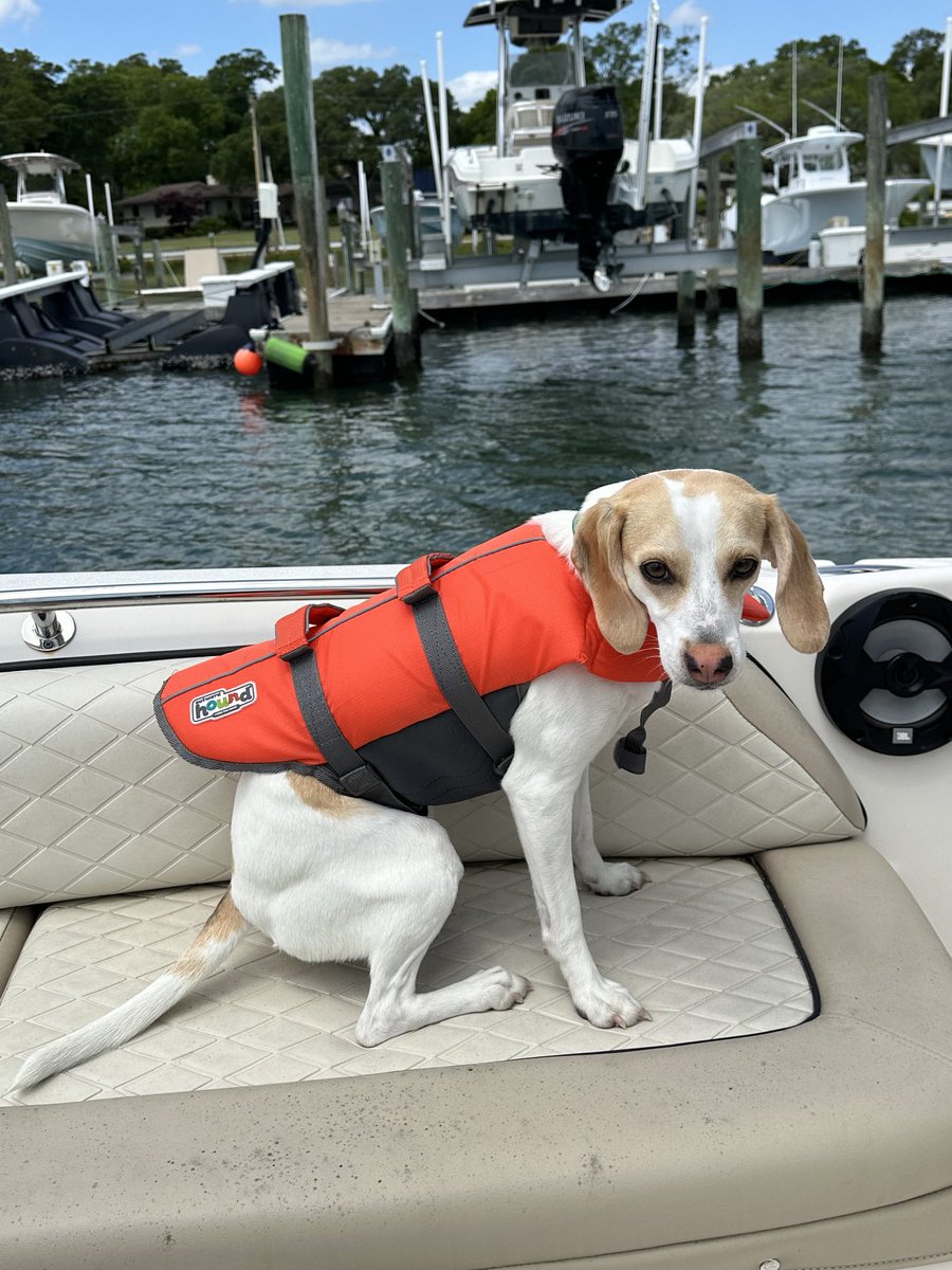 Update!!! Miss Sophia (Sophie from Suffolk VA) enjoying boating weather with her family last weekend!!! 💕💕💕