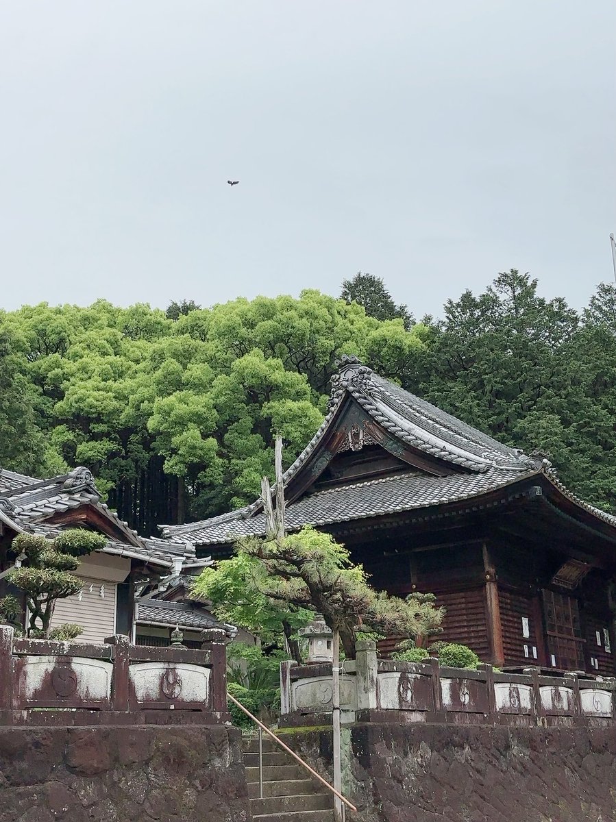 おはようございます。