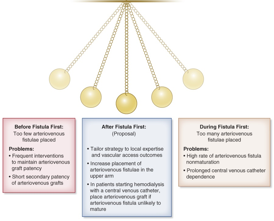 '...the updated 2019 KDOQI guidelines recognize the need to customize vascular access management...but provide little guidance on how to achieve this goal.' This Perspective proposes strategies to optimize outcomes bit.ly/JASN0346 @MikeAllonK360 @DrTimmyLee1