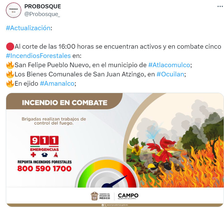 🔴 Siguen los #IncendiosForestales en #Edomex. Hasta el corte de las 16:00 horas, @Probosque_ reporta cinco incendios activos en: 

🔻Atlacomulco
🔻Ocuilan
🔻Ananalco 
🔻Tenango del Valle 
🔻Juchitepec