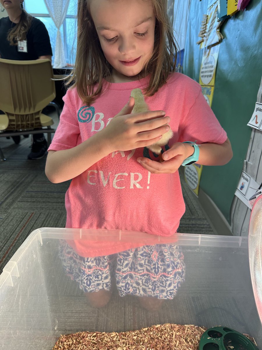 You know it is the Best Day Ever when you are in ⁦@hugheselem⁩ First Grade, Mrs. Ramos is your fabulous teacher, and you are holding a baby chick named French Fry!