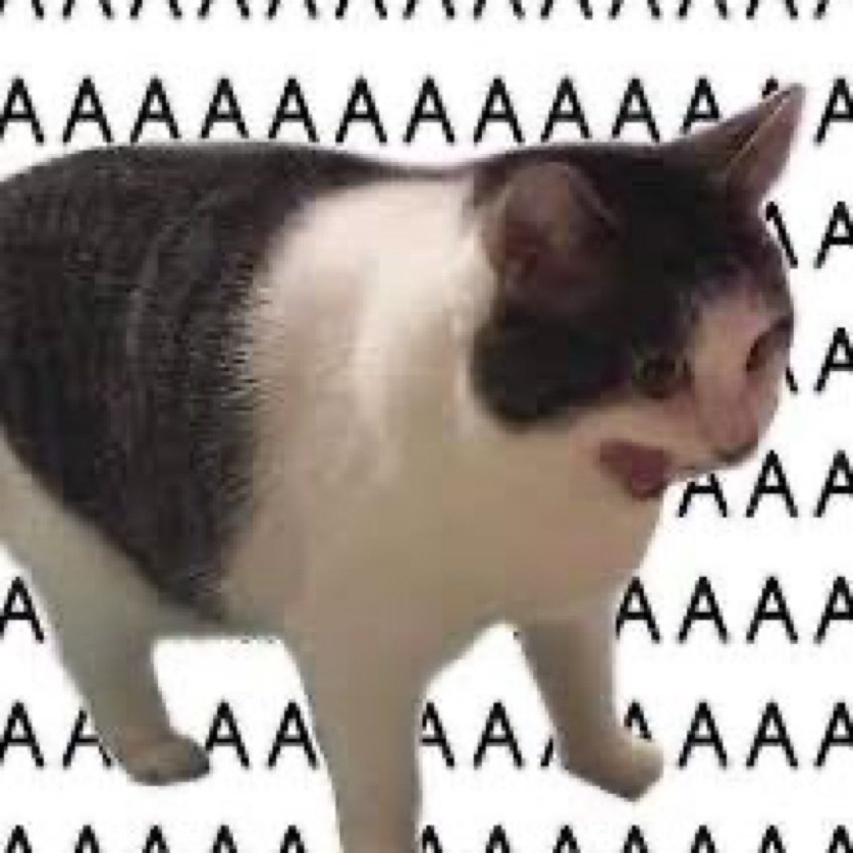 AAAAAAAAAAAAAAAAAAAAAAAAAAAAAAAAAAAAAAAAAAAAAAAAAA (@aaaaaaonsei) on Twitter photo 