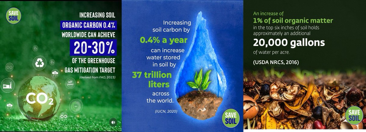 The increase of organic content in Soil increases water retention capacity dramatically, prevents droughts, and floods, and increases crop yield and quality. 
#SoilForClimateAction #SaveSoil #SaveSoilFixClimateChange #ConsciousPlanet