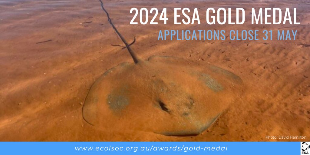 Nominations for the 2024 ESA Gold Medal open tomorrow. The ESA Gold Medal recognises an ESA member who has made a substantial contribution to the field of ecology in Australia. Nominations close 31 May. For more information: ecolsoc.org.au/awards/gold-me… 📷️: @davidghamilton1