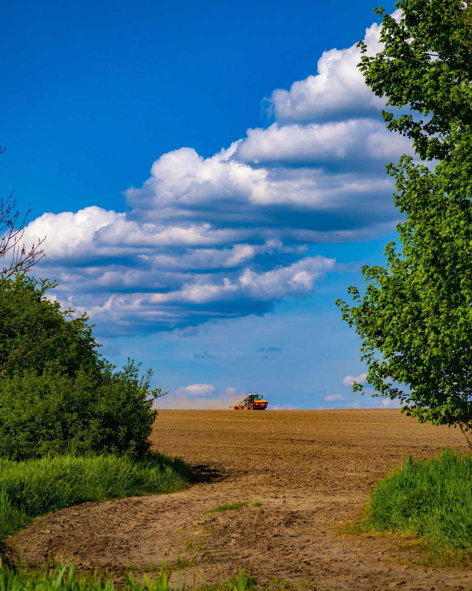 Farmers have a lot of work now!!

#landschaftsfotografie
#landscape
#fotografie
#naturfotografie
#nature
#photography
#sachsenanhalt
#landscapephotography