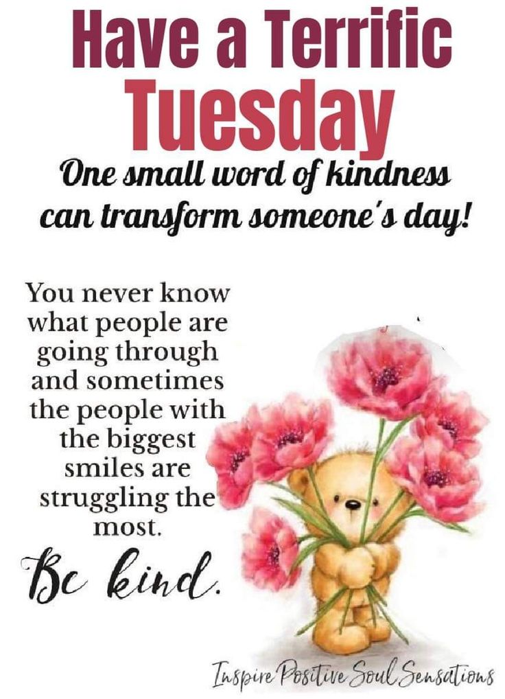Good morning to all my excellent Twitter/X friends on this terrific Tuesday morning. Have a fantastic day everyone. Carpe diem! Love and best wishes ❤️🤗🌸🌻🌼🌞