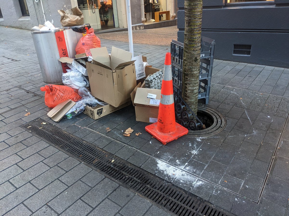 Auckland City Council removed 3,000 rubbish bins from the city as a cost-cutting measure in order to finance projects such as rainbow pedestrian crossings.

So much rubbish is piling up the council is deploying road cones to indicate the hazard.

Priorities.

#NZPol #Auckland