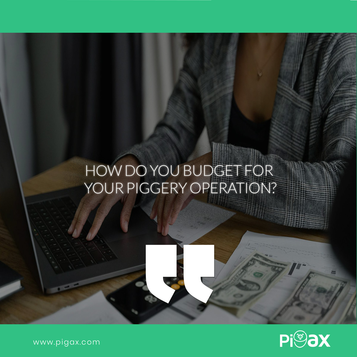 Effective budgeting and forecasting of piggery finances is the cornerstone of a successful pig farming operation. pigax.com/en/blog/pigger…
#pigax #PIGGERY #piggerymanagement #pigfarming #piggerybusiness