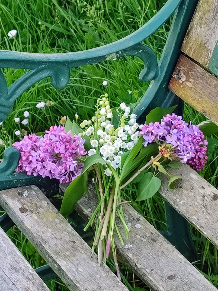 Un petit bouquet de lilas et de muguet fraîchement cueillis au jardin pour vous souhaiter une belle journée ! 🌸🌿🌷🌿🌼