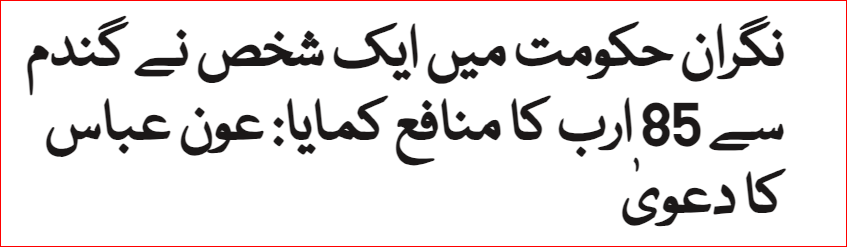 جیو نیوز کے پروگرام’  کیپیٹل ٹاک ‘میں گفتگو کرتے ہوئے سینیٹر عون عباس نے دعویٰ کیا کہ نگران حکومت میں ایک شخص نے یوکرین سے گندم درآمد کر کے 85 ارب روپے کا منافع کمایا۔