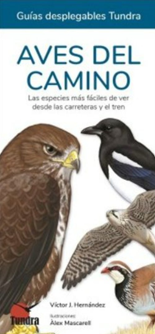 BIBLIOTECA CIENCIA 📚🆕 Aves del camino. Las especies más fáciles de ver desde las carreteras y el tren (Victor J.Hernández, Alex Mascarell) tundraediciones.es/index.php?opti… vía @TundraEdiciones #Zoología