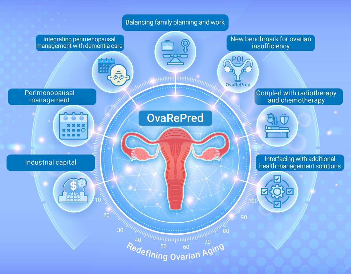 New in The Innovation Medicine! OvaRePred: Redefing ovarian aging and pioneering the journey towards women's health management. In this #commentary, Xu et al. thoroughly examine the wide-ranging impact of OvaRePred, scrutinizing its practical utility in detail. Read more…