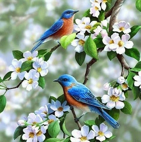 💛🕊🌾🍀🌤🎶Happiness is a bird that cannot be closed or tied. We have to live in such a way that it stays with us and accompanies us for a lifetime. I wish you happy hours!