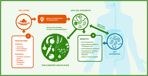 'Scoping review on soil microbiome and gut health—Are soil microorganisms missing from the planetary health plate?' by @MarjaRoslund et al. 2024