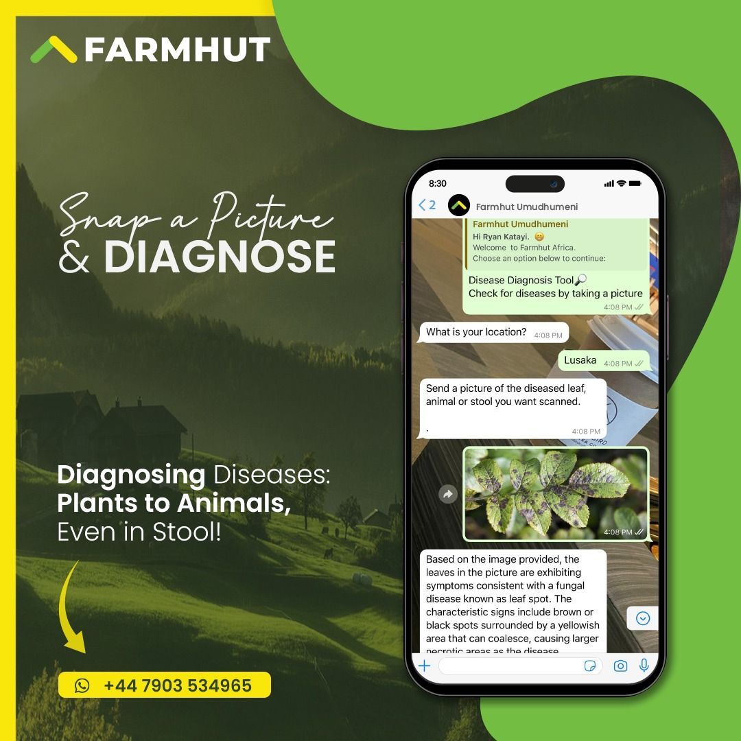 You can now easily conduct plant and animal disease diagnosis through our WhatsApp platform. Click on the following link to try it out. wa.me/447903534965