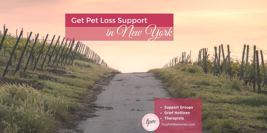 Many will dismiss your #petgrief. Find a #petlosssupport group, a #petgrief #hotline, or local #grieftherapist in #NewYork thru #TinyPetMemories. Bust the myth that your #petloss isn’t real with their support. #petlove
@TinyPetMemories to add a listing
buff.ly/2zn4ppB MT