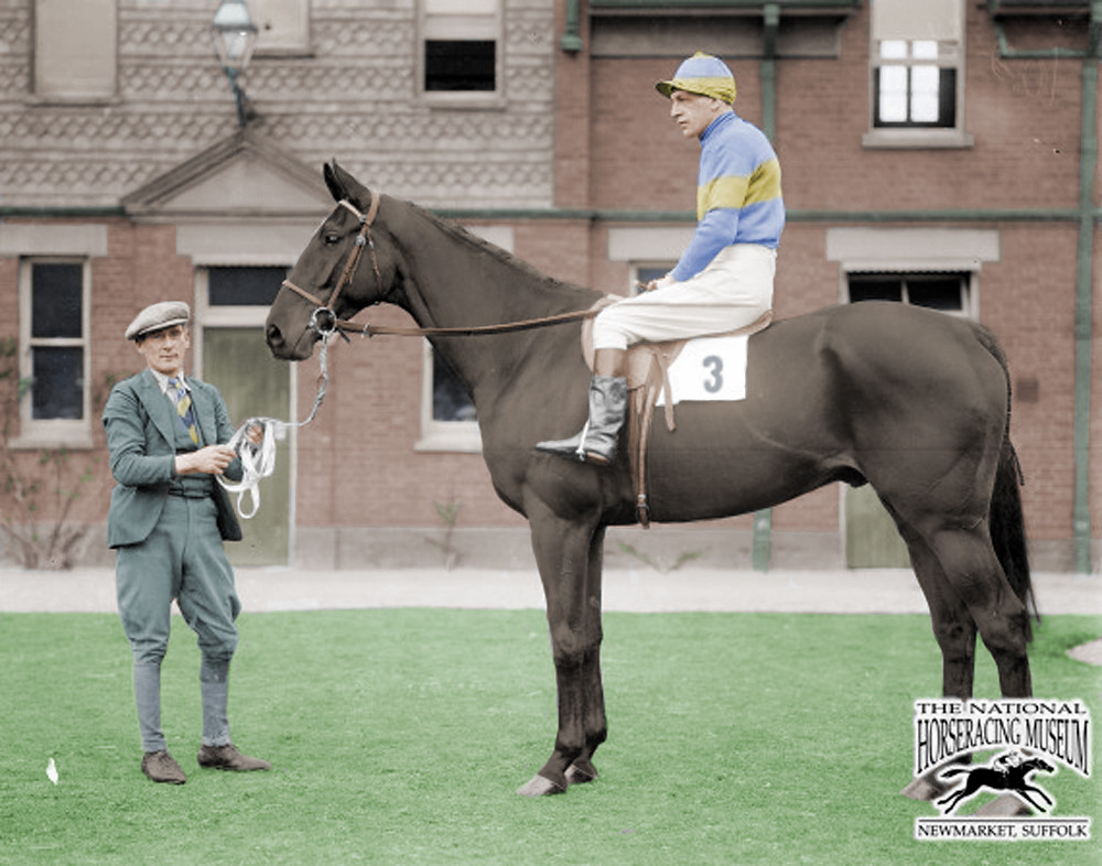 Golden Miller (30 April 1927 #Pelletstown #Meath-1957).

Thoroughbred racehorse🏇. Most successful Cheltenham Gold Cup🏆winner ever (5 consecutive years 1932-1936) & Grand National 1934! Only horse to win both in same year!

29 wins out of 52 races! 🪦Elsenham Stud, West Essex