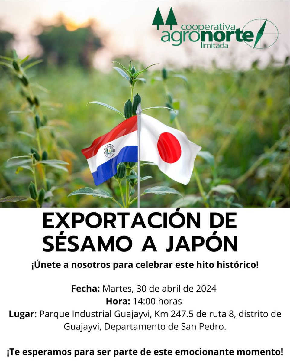 Martes 30 de abril del 2024, en la Cooperativa Agronorte se celebra el histórico hito de exportar Sésamo orgánico al Japón. Orgulloso de haber acompañado a Agronorte desde su fundación hasta este hecho fundamental. Apostando a la Agricultura Familiar Campesina. <a href="/agronortecoop/">Cooperativa Agronorte Ltda.</a>