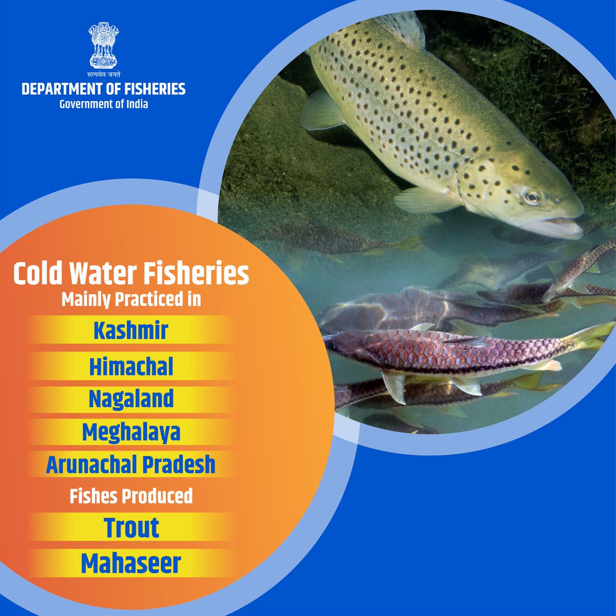 Did you know that cold water fisheries are primarily practiced in #Kashmir, #HimachalPradesh, #Nagaland, #Meghalaya, and #ArunachalPradesh?