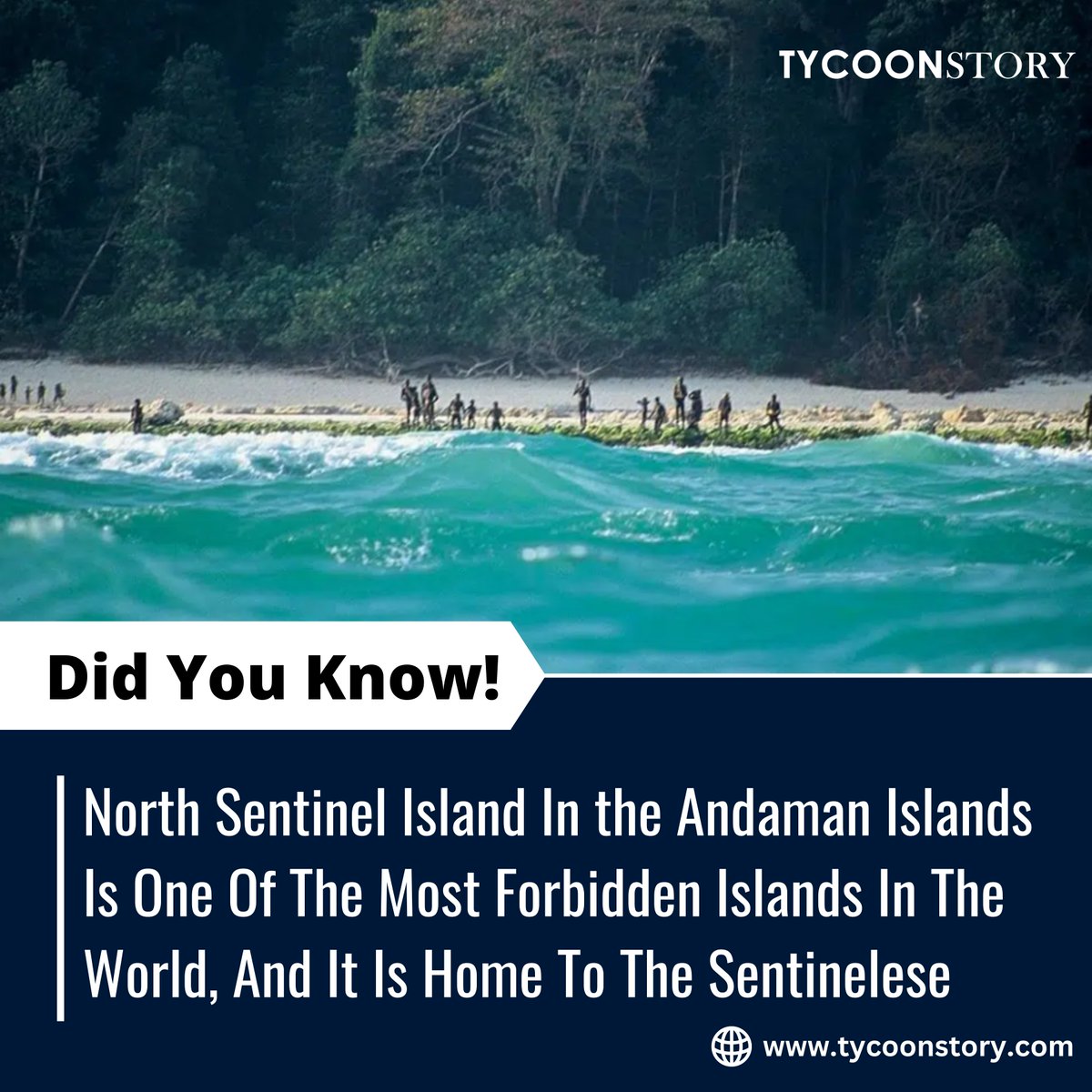 #DidYouKnow 

#NorthSentinelIsland #Sentinalese #BayofBengal #UncontactedTribes #IndigenousCulture #IslandProtection #IslandConservation #AndamanIslands @TycoonStoryCo @tycoonstory2020  @CCidAndamanNico