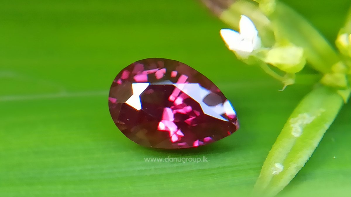 Discover the allure of the Ceylon Natural Reddish Purple Sapphire—a gemstone steeped in mystique and elegance. view product - danugroup.lk/product/ceylon… #ceylonsapphire #naturalgemstones #reddishpurplesapphire #gemstones #gemcutter #gemstoneforsale #ringdesign #fashion #style