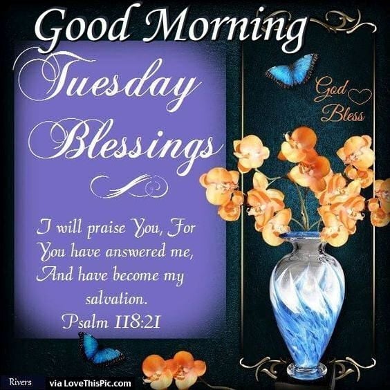 All men will hate you because of me, but he who stands firm to the end will be saved.—Matthew 10:22💖🙏💖 GOOD MORNING. HAVE A NICE DAY. 💖🙏💖