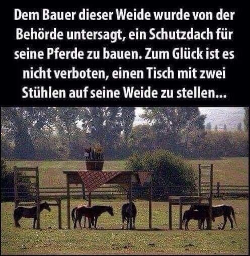 Guter Bauer 🥰
Netzfund