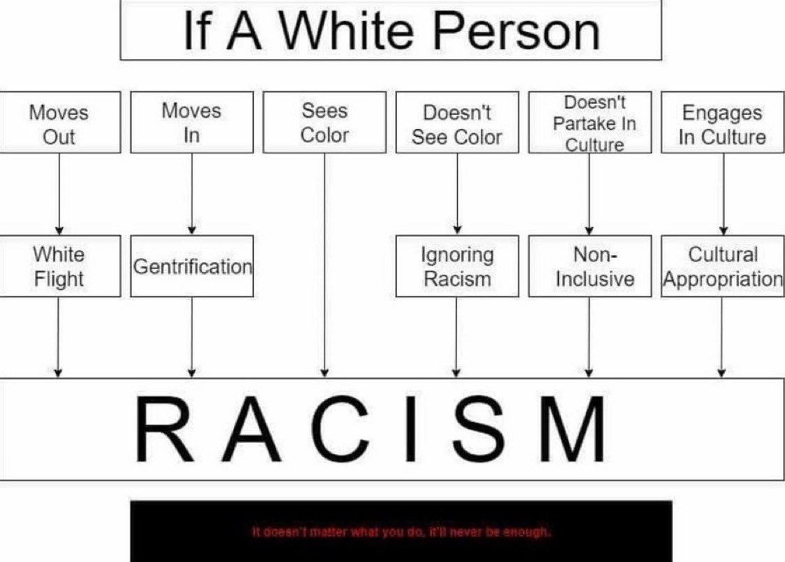 @LaurenWitzkeDE We just need to embrace the pejoratives, and realize that there’s no appeasing anti-whites ever. Just segregate and be done with crime, violence, ghettos and wasted taxes