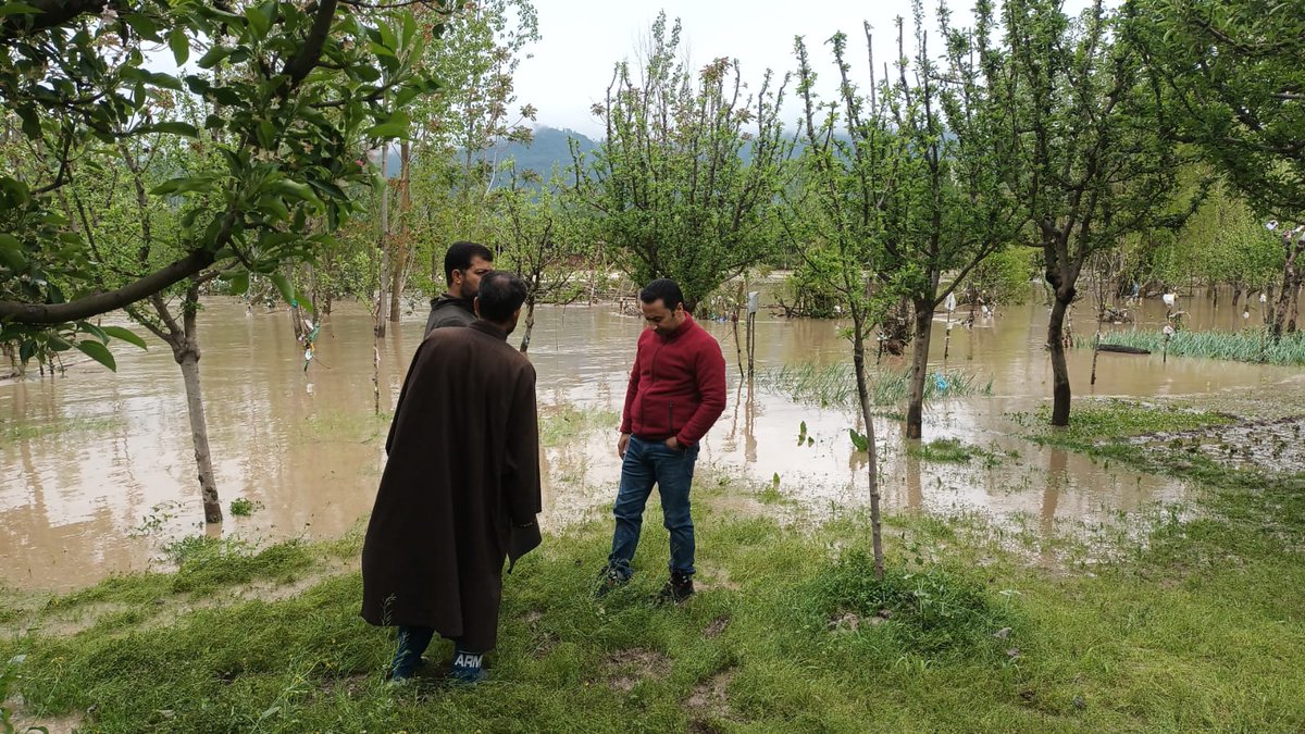 Many orchards still submerged  under water at kultoora,hanhiahart and phroupeth district Kupwara @diprjk @infokupwara @infokupwara @KashmirScan @GreaterKashmir @kashmiruzma @KNSKashmir @ZABhat7