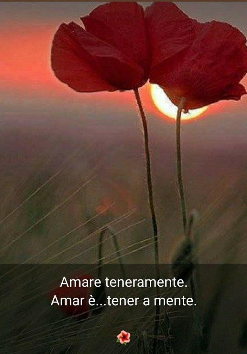 #BuongiornoATutti ☕️🍀🌹💙😉..