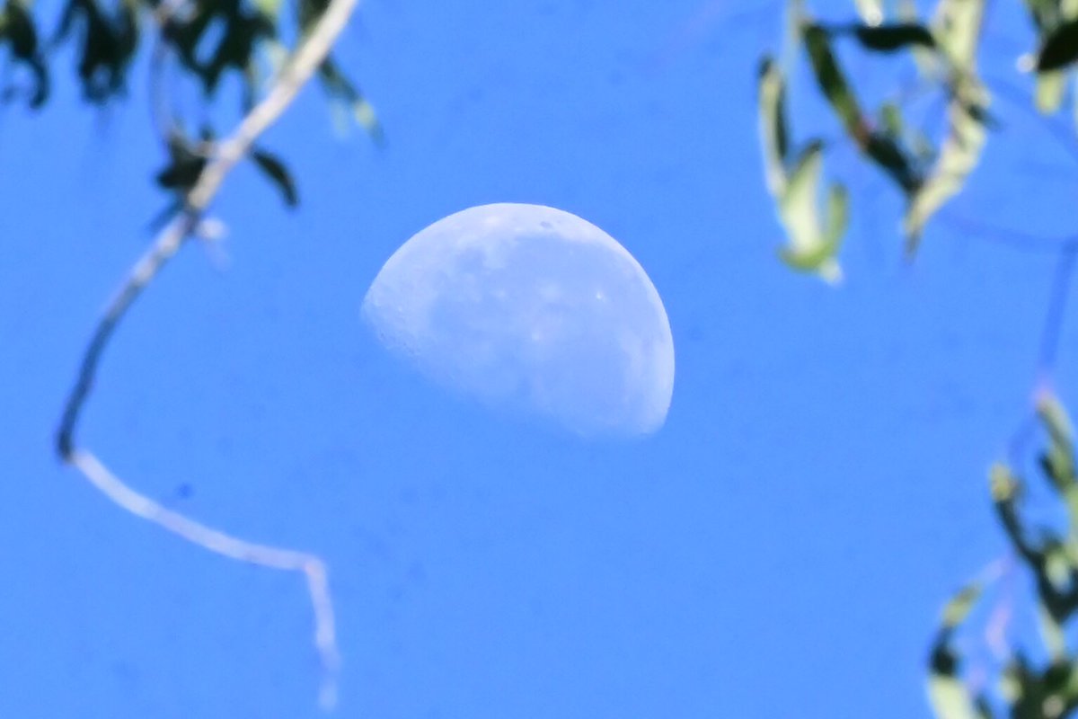Hi All,
Good Morning.
A few Moon shots
Have a lovely Tuesday 
#moon 
#nikonz6ii #z6ii #mynikonlife 
@olivia_brisbane @DiQld 
@HarleyRozeBBW
@Bildagraham1