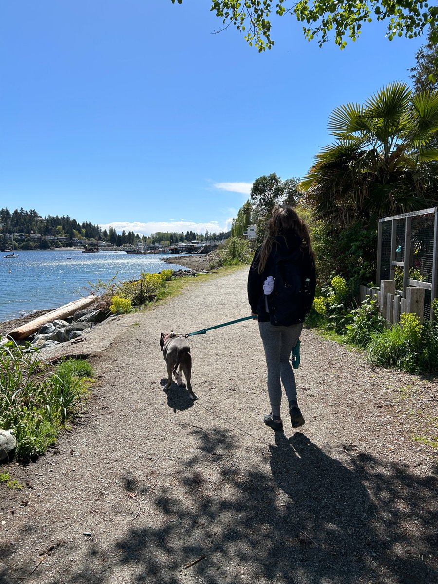 Thank you for keeping your dog leashed on the Seawalk. ‍🦮🚶🏽‍♀️‍

Leash safety is very important, especially in the springtime when more people &amp; animals are out and about. 

To report an off-leash dog, please email beo@gibsons.ca or call 604-886-2774.

gibsons.ca/services/anima…