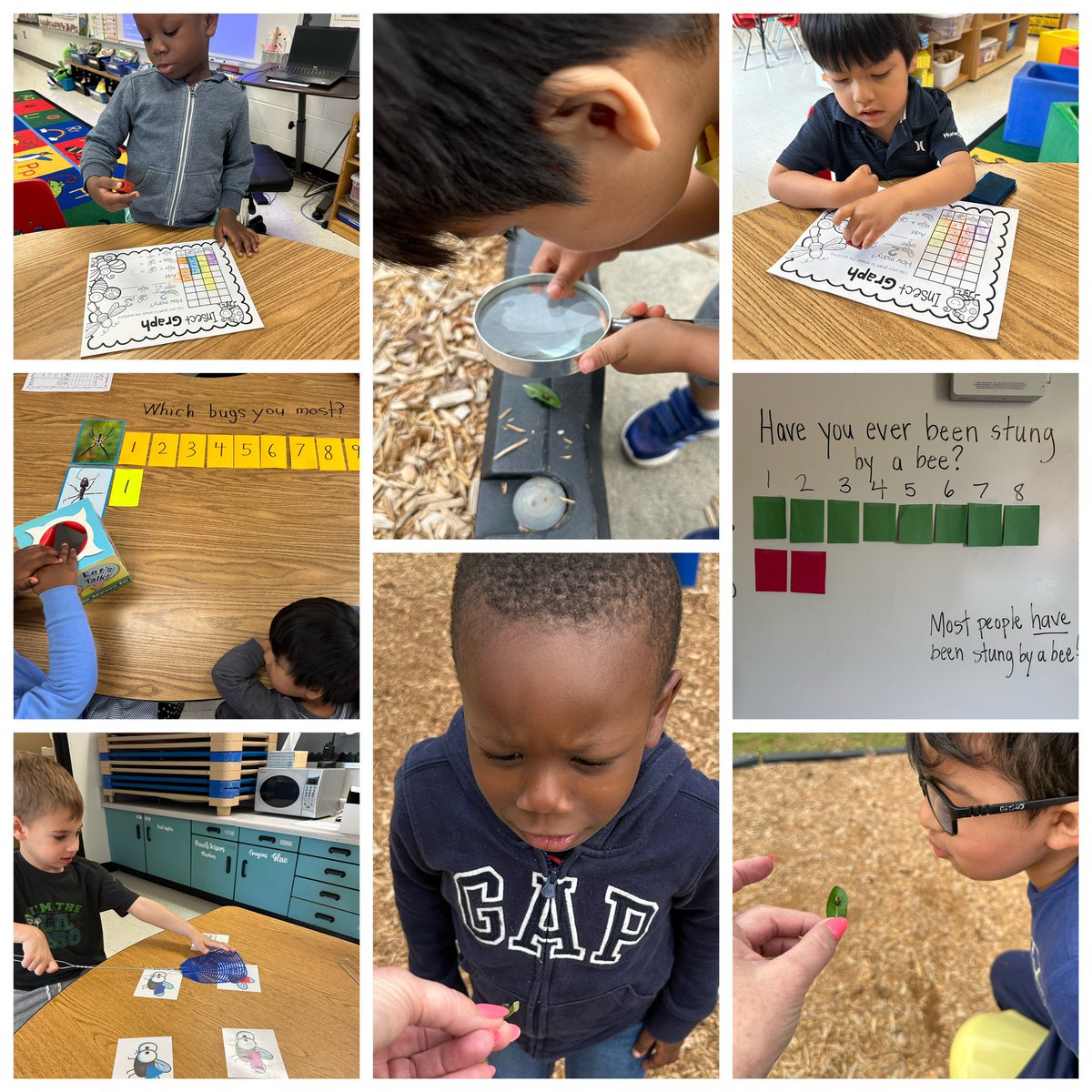Insect Investigations! At our school, we are most “bugged”by spiders 🕷️ and most have been stung by a bee 🐝 @npepanthers @NPESprincipal @FCS_SEC